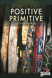 Positive Primitive