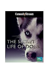 Secret Life Of Dogs