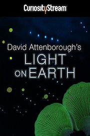 David Attenborough's Light On Earth