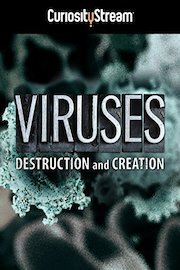 Viruses: Destruction and Creation