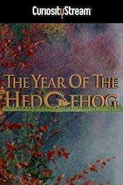 The Year Of The Hedgehog