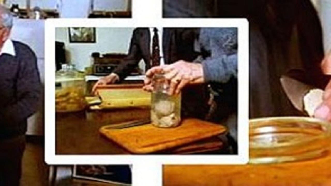 Relics: Einstein's Brain