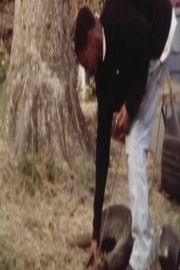 The Mayberry Practice Calf