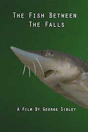 The Fish Between The Falls