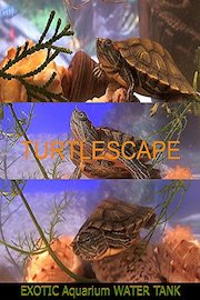 Turtlescape