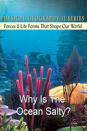 Physical Geography II: Why Is The Ocean Salty