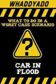 Whaddyado: Car In Flood