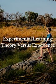 Experimental Learning: Theory Versus Experience