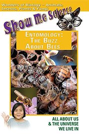 Show Me Science Biology - Entomology The Buzz About Bees