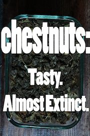 Chestnuts: Tasty. Almost Extinct.