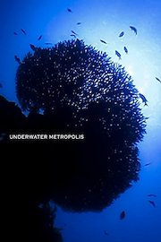 Underwater Metropolis