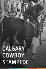 Calgary Cowboy Stampede