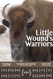 Little Wound's Warriors