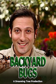 Backyard Bugs