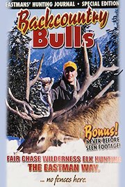 Backcountry Bulls