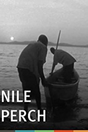 Nile Perch