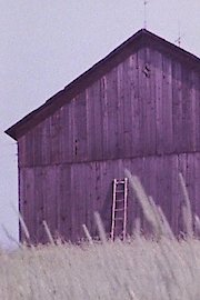 Barn Rushes