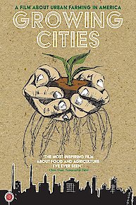 Growing Cities