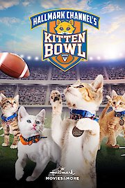 Kitten Bowl V