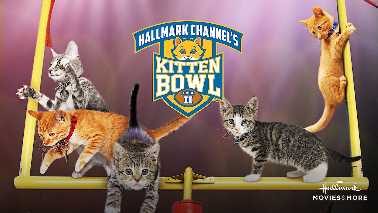 Kitten Bowl II