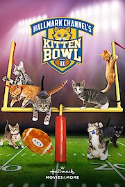 Kitten Bowl II