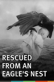 Rescued from an Eagle's Nest