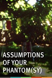 Assumptions of Your Phantom
