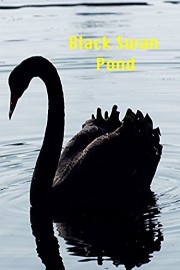 Black Swan Pond