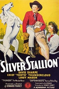 Silver Stallion