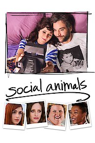 Social Animals