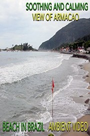 Soothing and Calming View of Armacao Beach in Brazil Ambient Video
