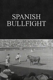 Spanish Bullfight
