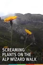 Screaming Plants on the Alp Wizard Walk