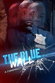 The Blue Wall: A Conspiracy Against Citizens