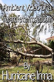Ambient Video of a Tree and Fence Knocked Down by Hurricane Irma