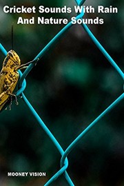 Cricket Sounds With Rain And Nature Sounds