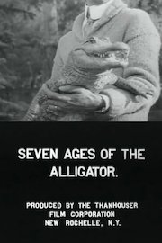 Seven Ages of an Alligator