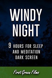 Windy night, 9 hours for Sleep and Meditation, dark screen