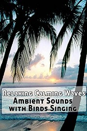 Relaxing Calming Waves Ambient Sounds with Birds Singing