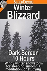 Winter Blizzard: Dark Screen - 10 hours Windy winter snowstorm for sleeping, insomnia, meditation, or studying.