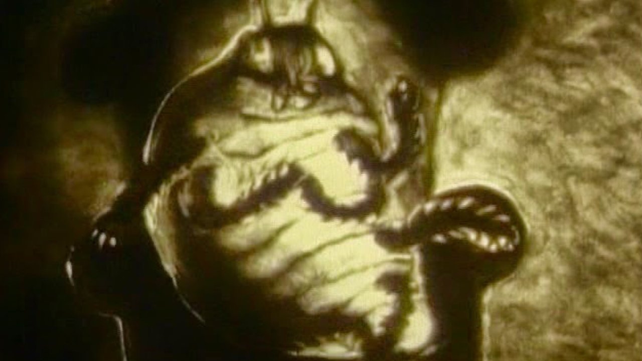 Metamorphosis of Mr. Samsa