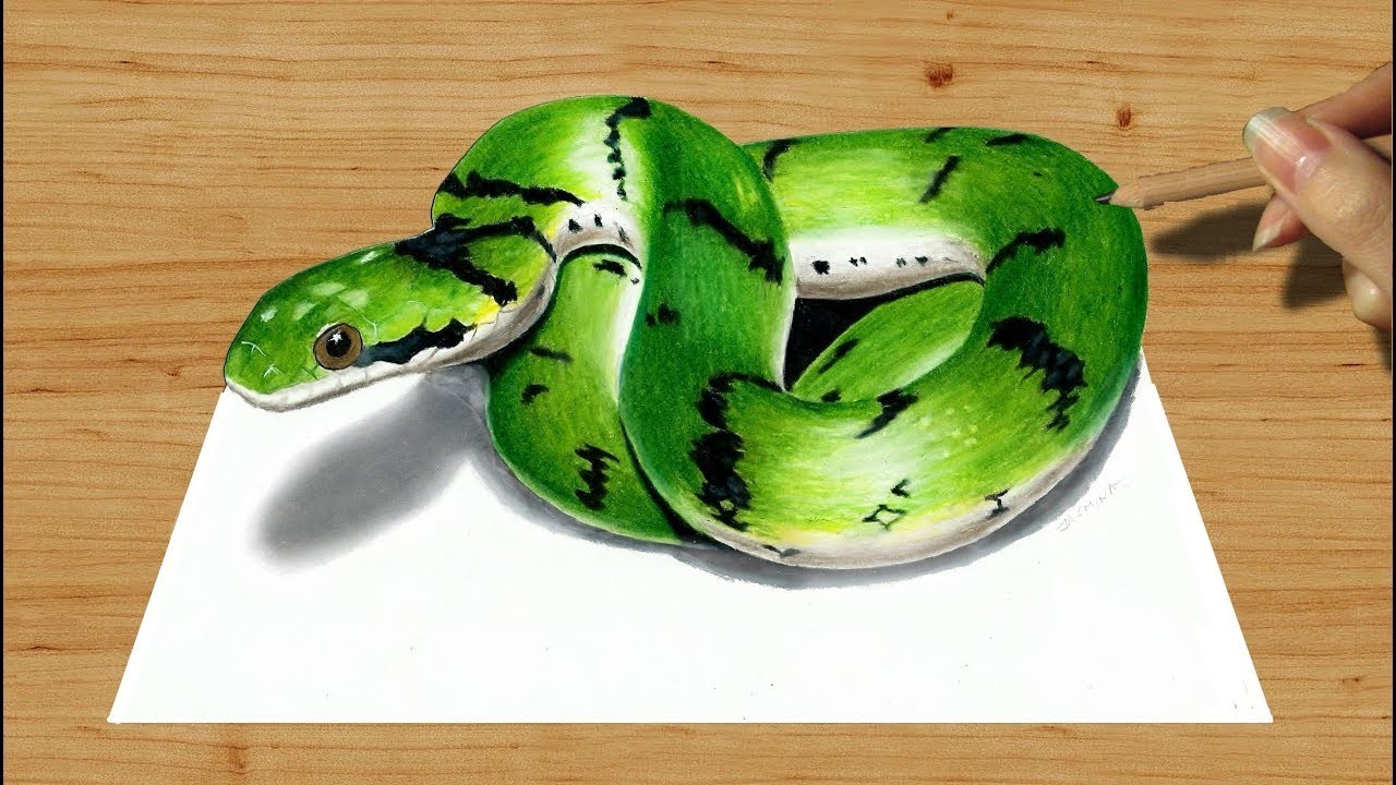 Real Time Drawing of a Green Snake