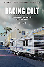 Racing Colt