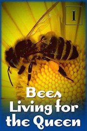 Bees - Living for the Queen