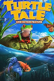 Turtle Tale