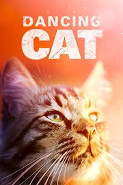 Dancing Cat