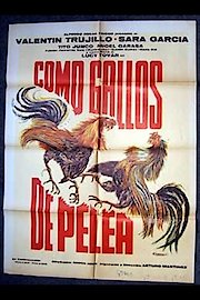 Como Gallos de Pelea