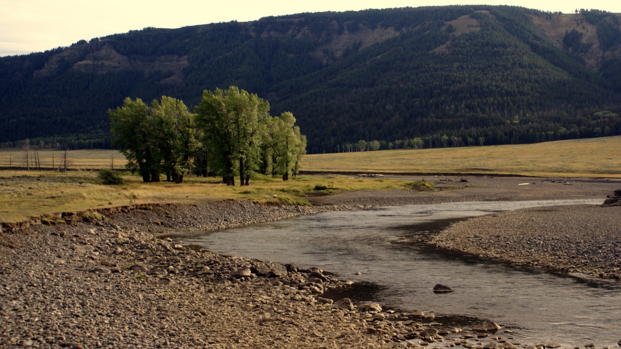 Yellowstone: America's Eden