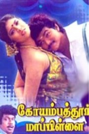 Coimbatore Maaple