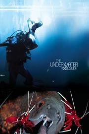 The Underwater Pixelguide